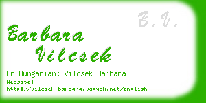 barbara vilcsek business card